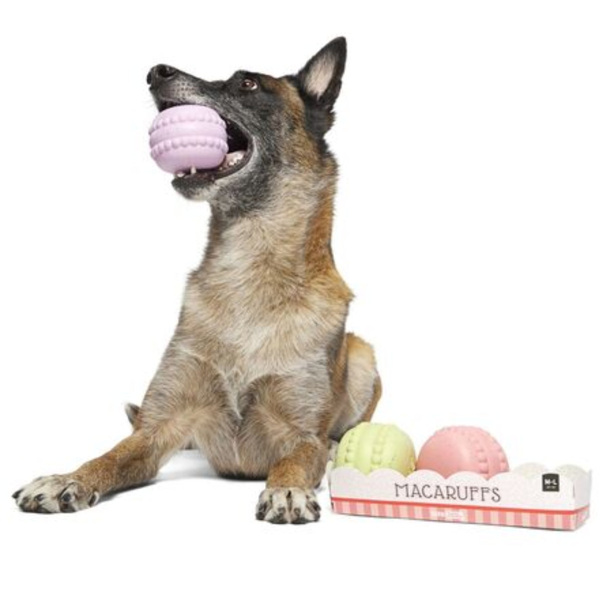 Macaruffs Durable Super Chewer Multi-Part Dog Toy