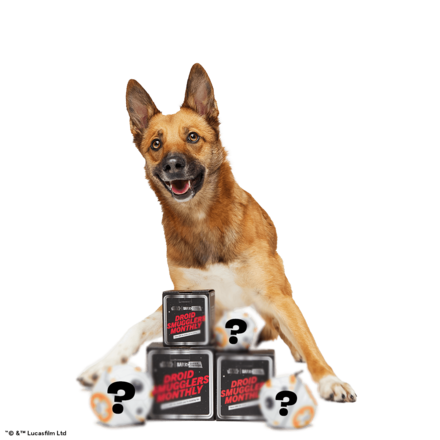 Star Wars™ Droid - BB-8™