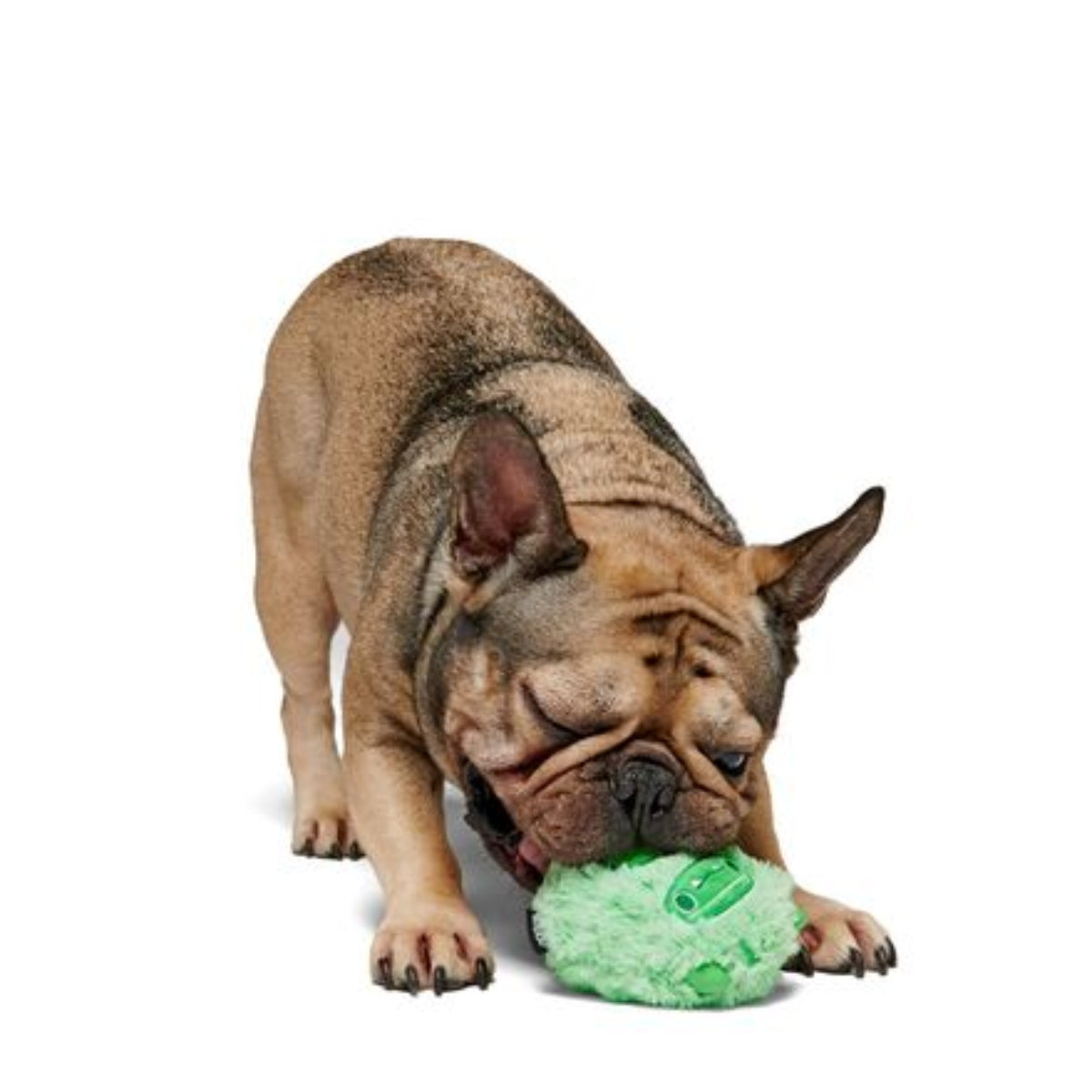 Jolly Green Ice Beast Durable Super Chewer 2-in-1 Rip and Reveal Dog Toy