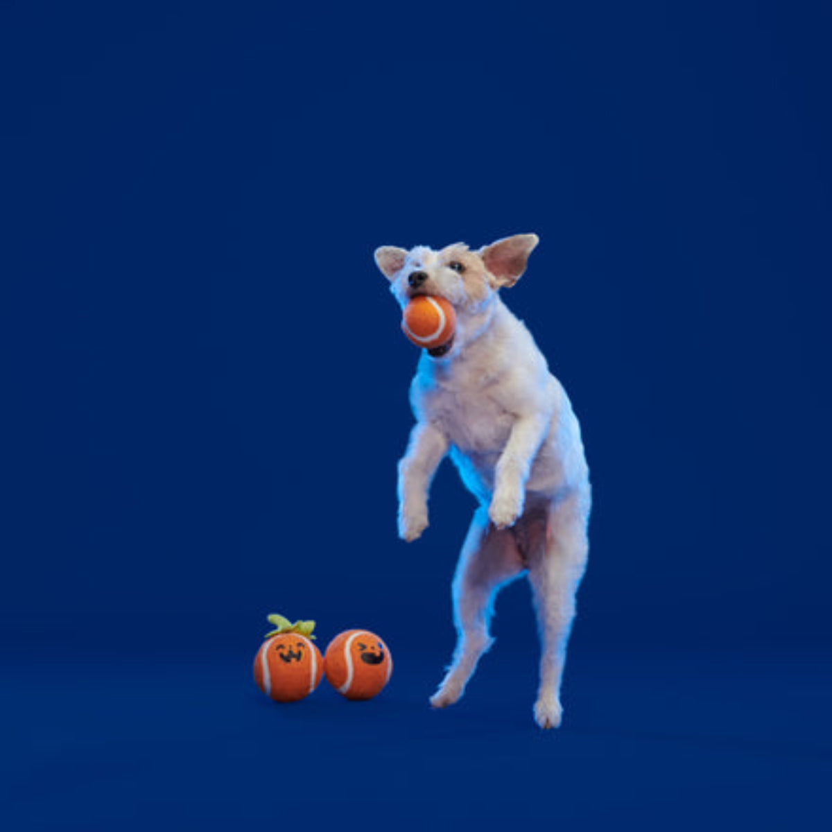 Chuckin' Punkins Plush Multi-Part Fetch Dog Toy