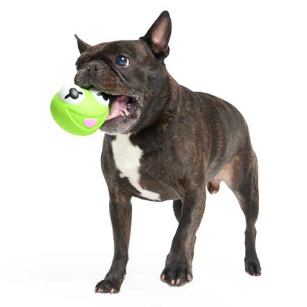 The Muppet Kermit & Miss Piggy Super Chewer Bundle