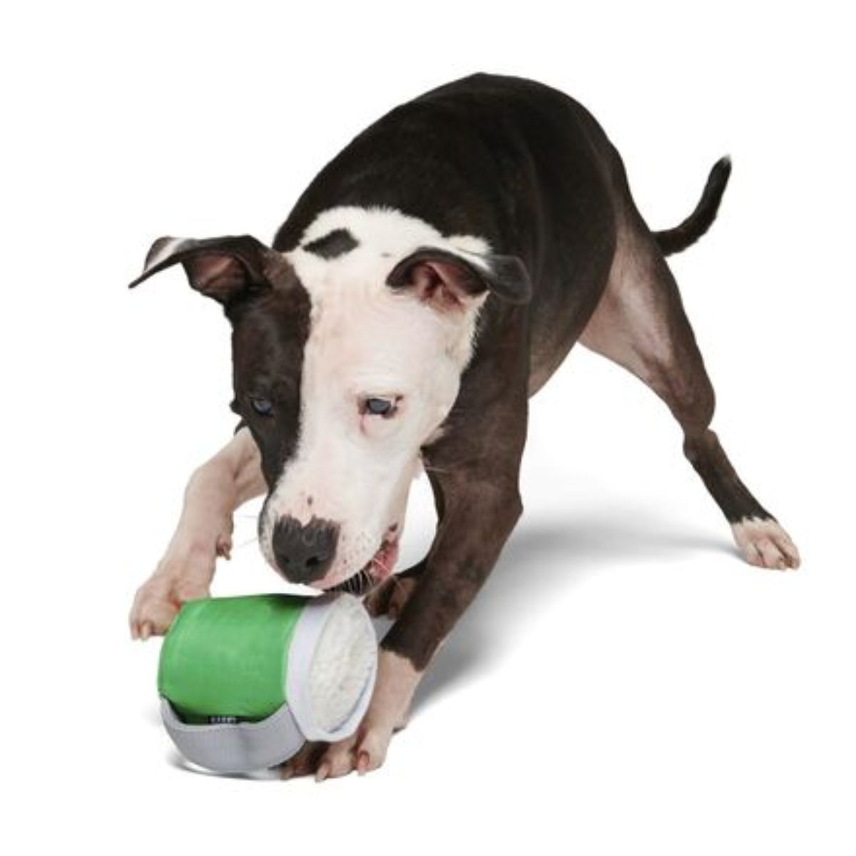 Erin Go Brew Durable Super Chewer 2-in-1 Rip and Reveal Dog Toy