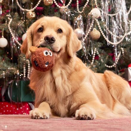 The Muppet Rizzo & Gonzo Super Chewer Bundle