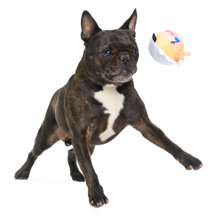 The Muppet Kermit & Miss Piggy Super Chewer Bundle