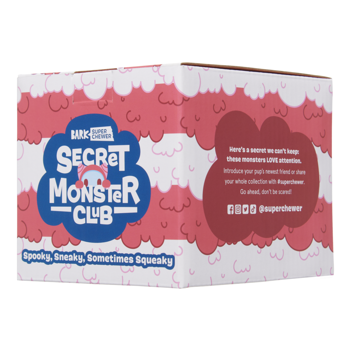 Secret Monster Club, Super Chewer Durable 2-in-1 Rip and Reveal Monthly Dog Toys