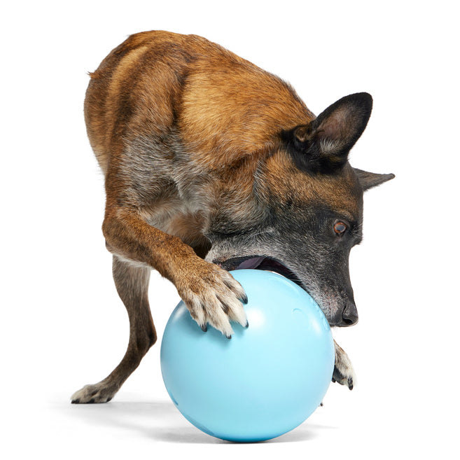 Eggstra Large Easter Egg