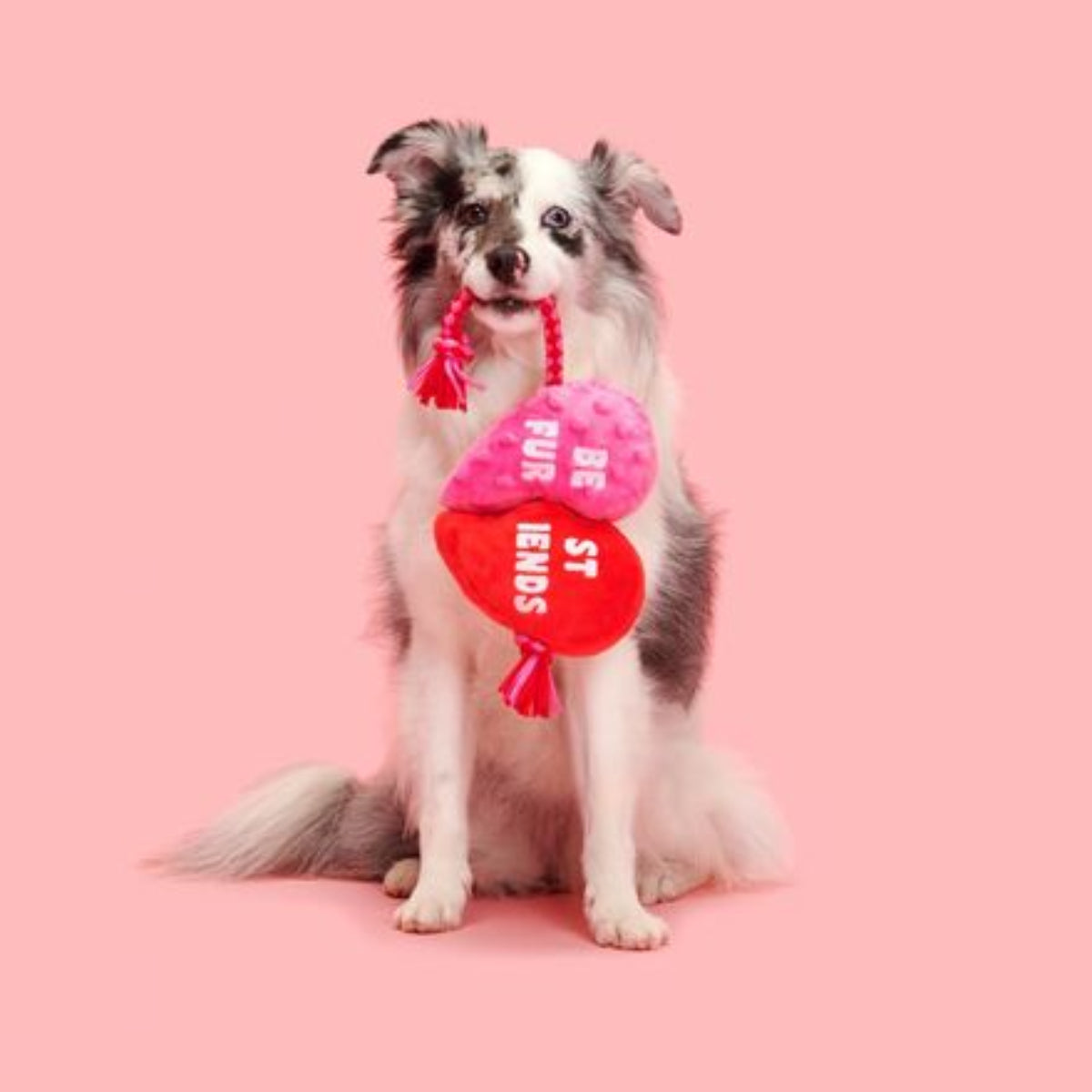 Heartstrings Tugger Plush Tug Dog Toy