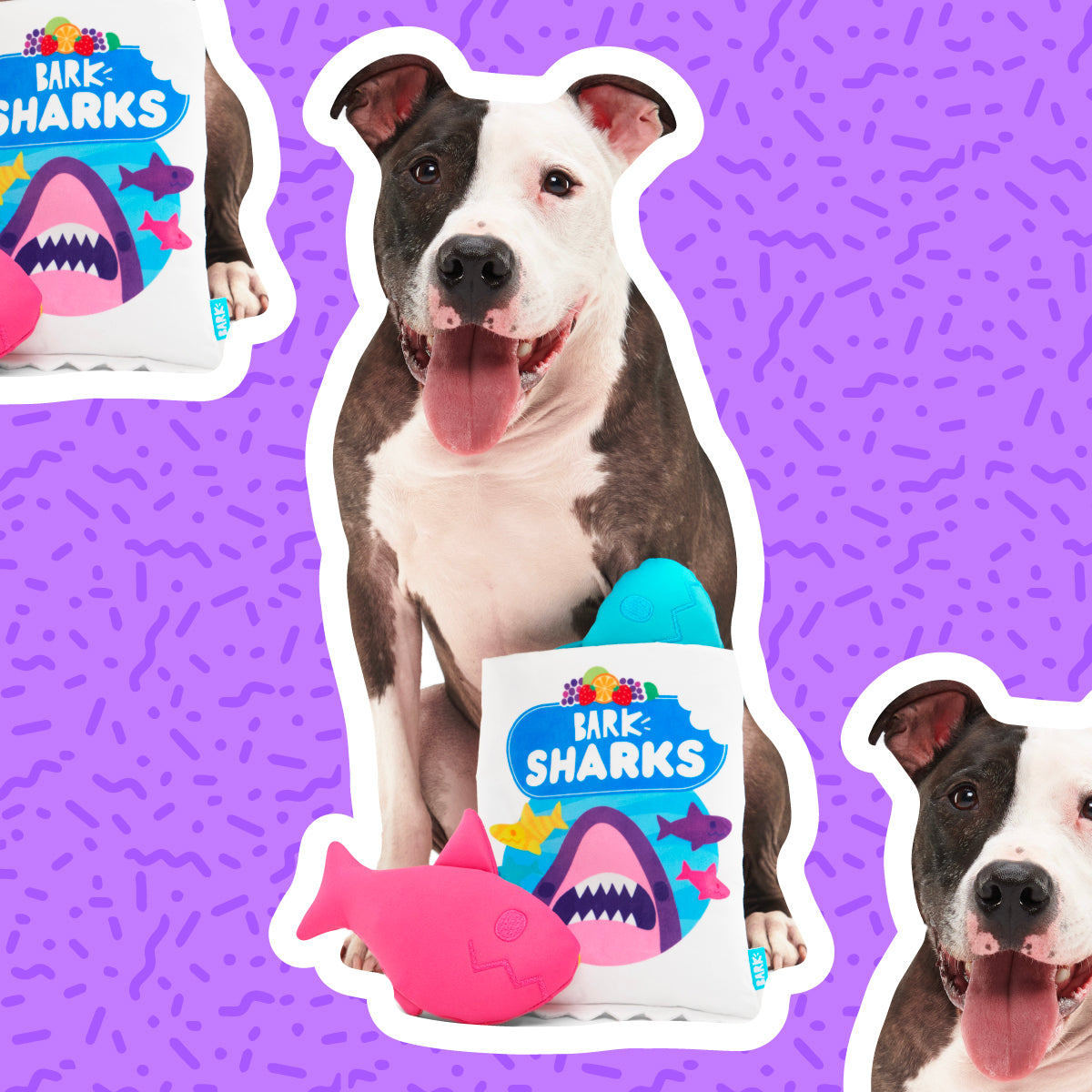 Junk Food Club, Plush Monthly Dog Toys