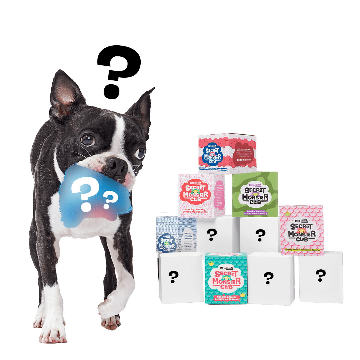 Bunga - Secret Monster Club