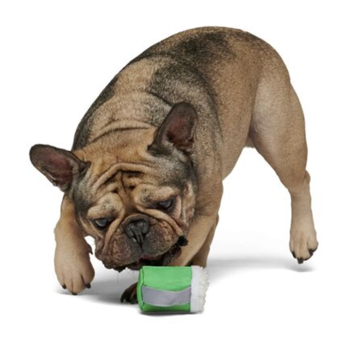 Erin Go Brew Durable Super Chewer 2-in-1 Rip and Reveal Dog Toy