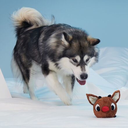 Reindeer Games™ Rudolph®