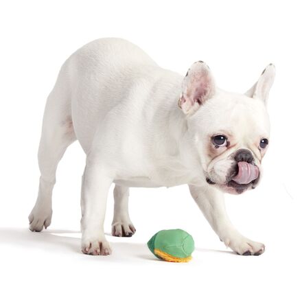 Lucky Larry Leprechaun Super Chewer Durable 2-in-1 Dog Toy