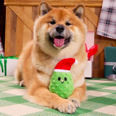 Pickle Claus Plush Dog Toy