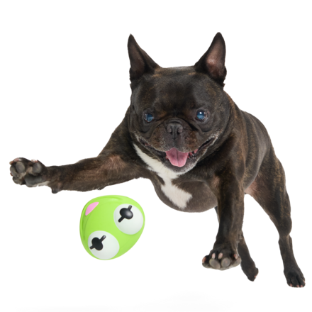 The Muppet Kermit & Miss Piggy Super Chewer Bundle