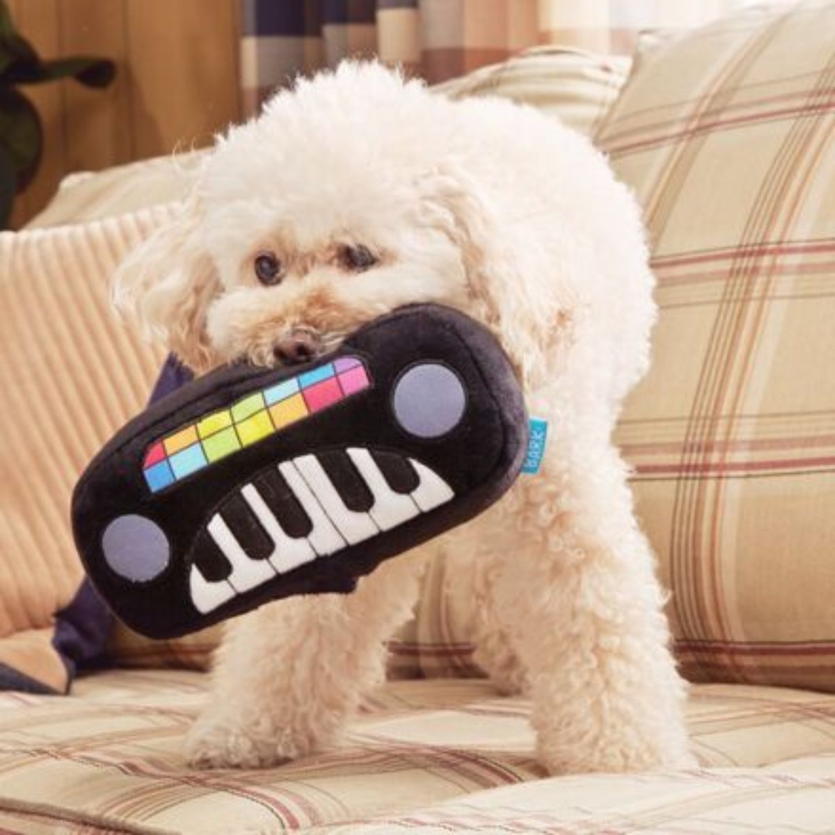 Squeaky Wonder Keyboard