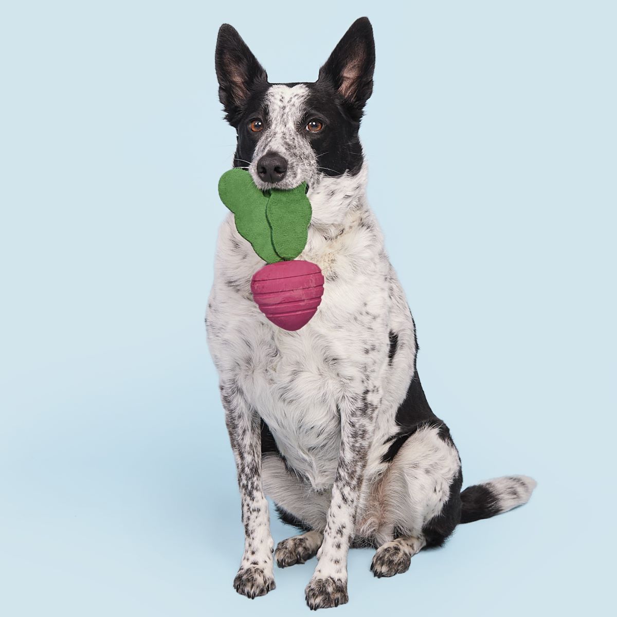 Turnt Up Turnip Super Chewer Durable Tug Dog Toy