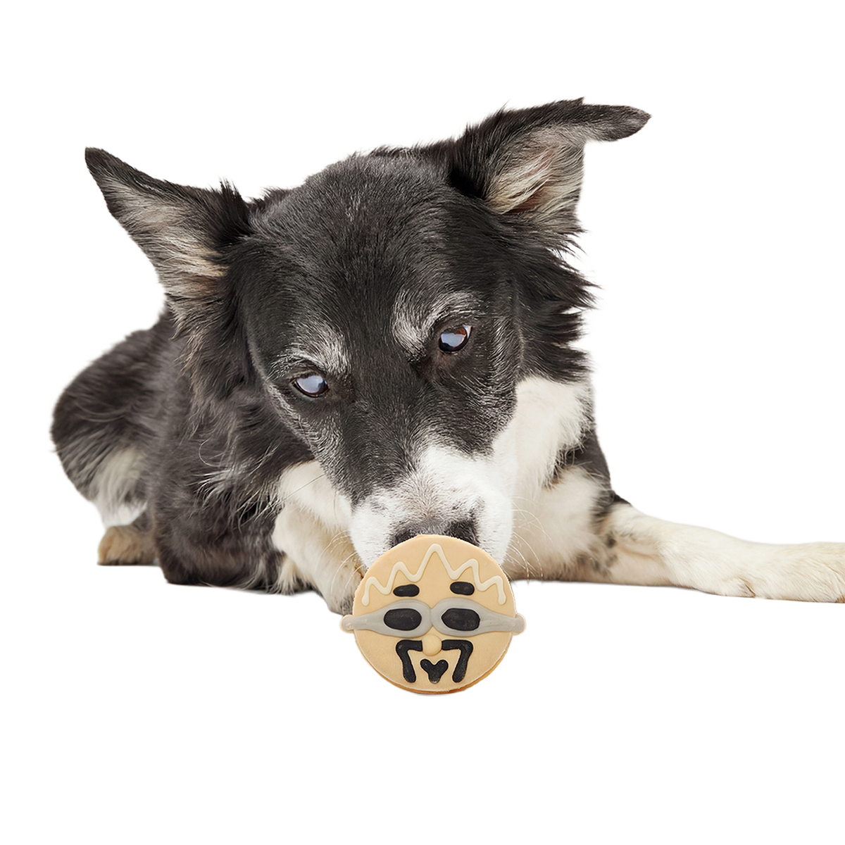 Frosted Tips Barkery Dog Cookie Vegetarian, 1.8 oz