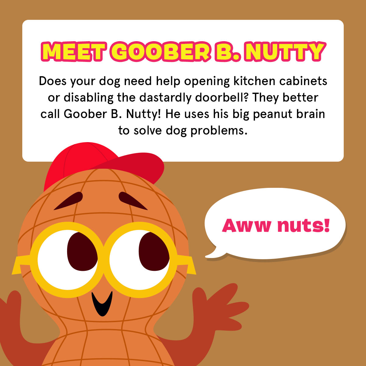 Go Nutty's™ Soft baked Dog Treats - Honey Peanut Flavor