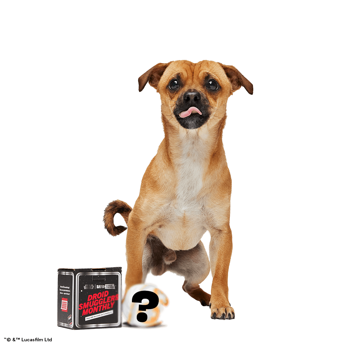 Star Wars™ Droid Smugglers Club, Super Chewer Durable Monthly Dog Toys