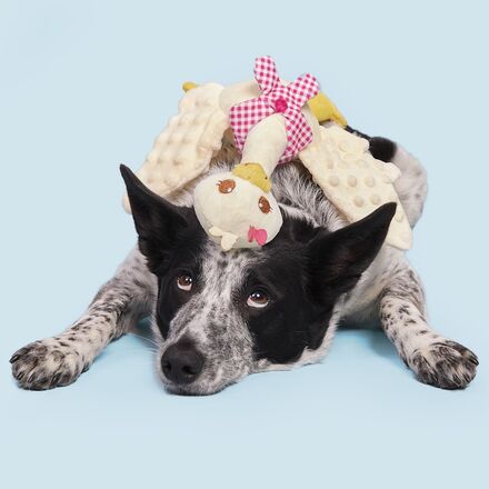 Farmer's Barket Gingham Goose