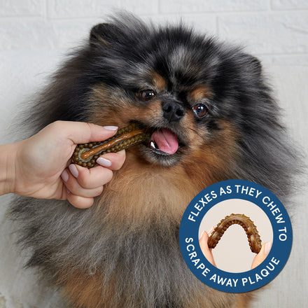 The Bright Durable Dental Kit Subscription