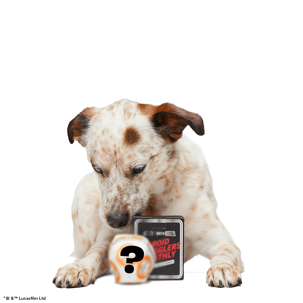 Star Wars™ Droid Smugglers Club, Super Chewer Durable Monthly Dog Toys