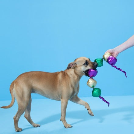 Mardi Growl Necklace