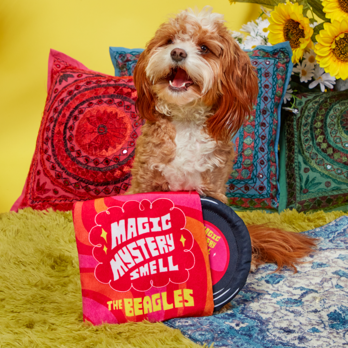 Squeakadelic Tunes Plush Multi-Part Dog Toy