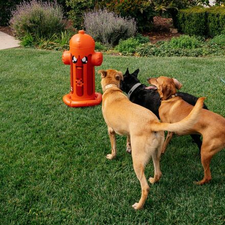 FUNBOY x Bark Harry the Hydrant Sprinkler