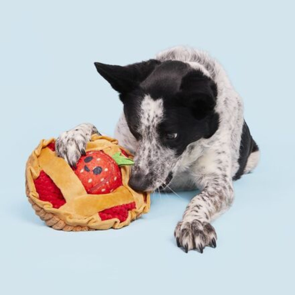 Strawberry Pie Plush Multi-Part + Enrichment Dog Toy