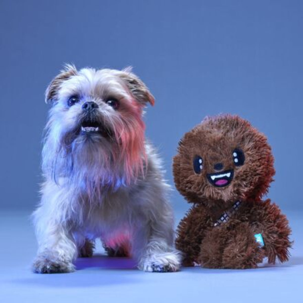Bark It Up, Fuzzball! Plush Tug Dog Toy
