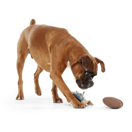 Jitter Pug Coffee Bean Super Chewer Durable 2-in-1 Dog Toy