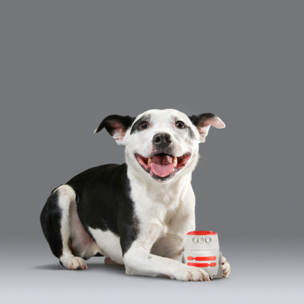 Star Wars™ Droid - R5-D4™