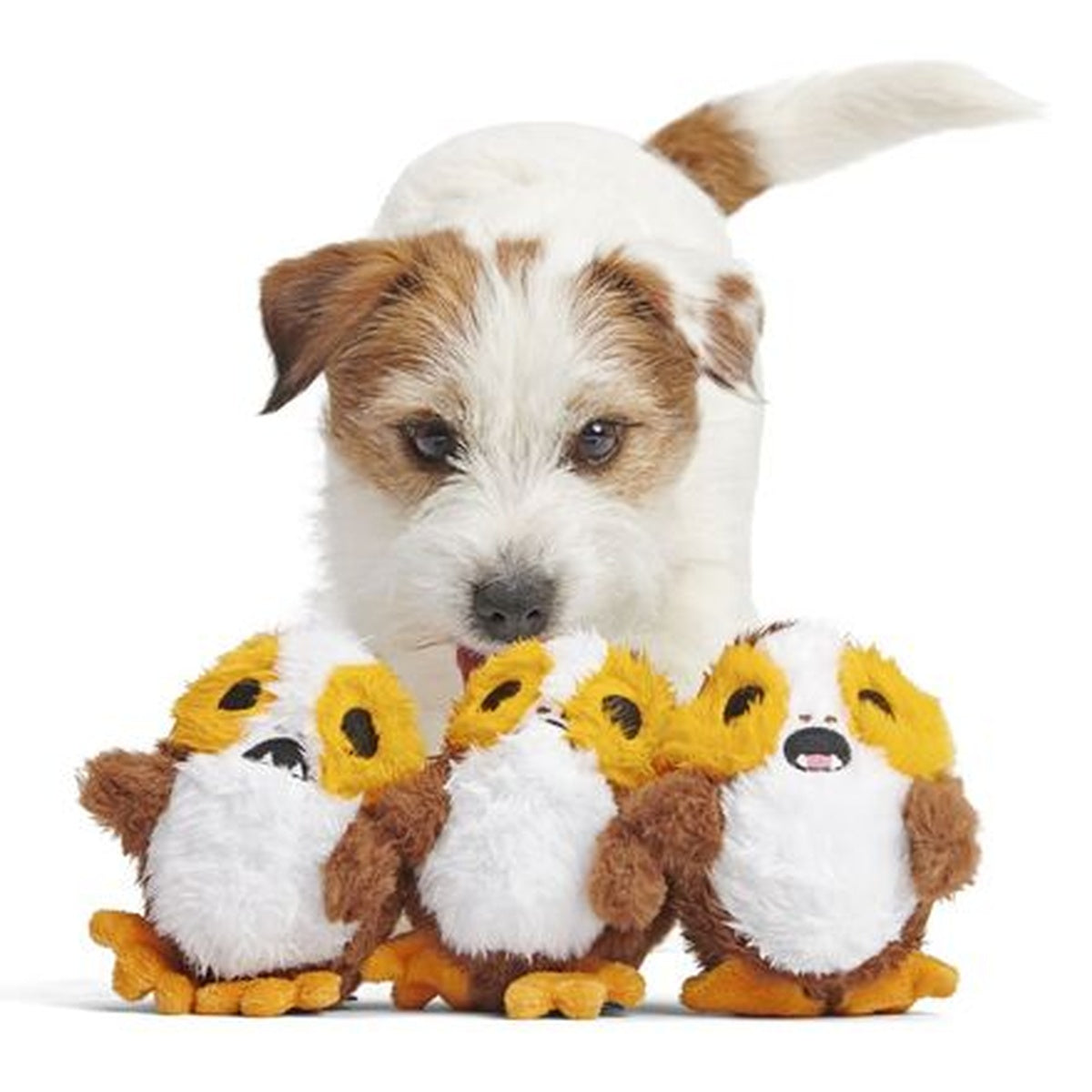 Star Wars™ Creature Club