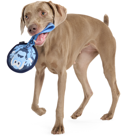 Statler and Waldorf as "Marley & Gnarley" Durable Super Chewer Tug Dog Toy