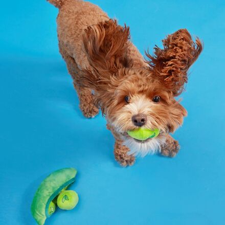 Peas in the Pod Plush Multi-Part + Enrichment + Fetch Dog Toy