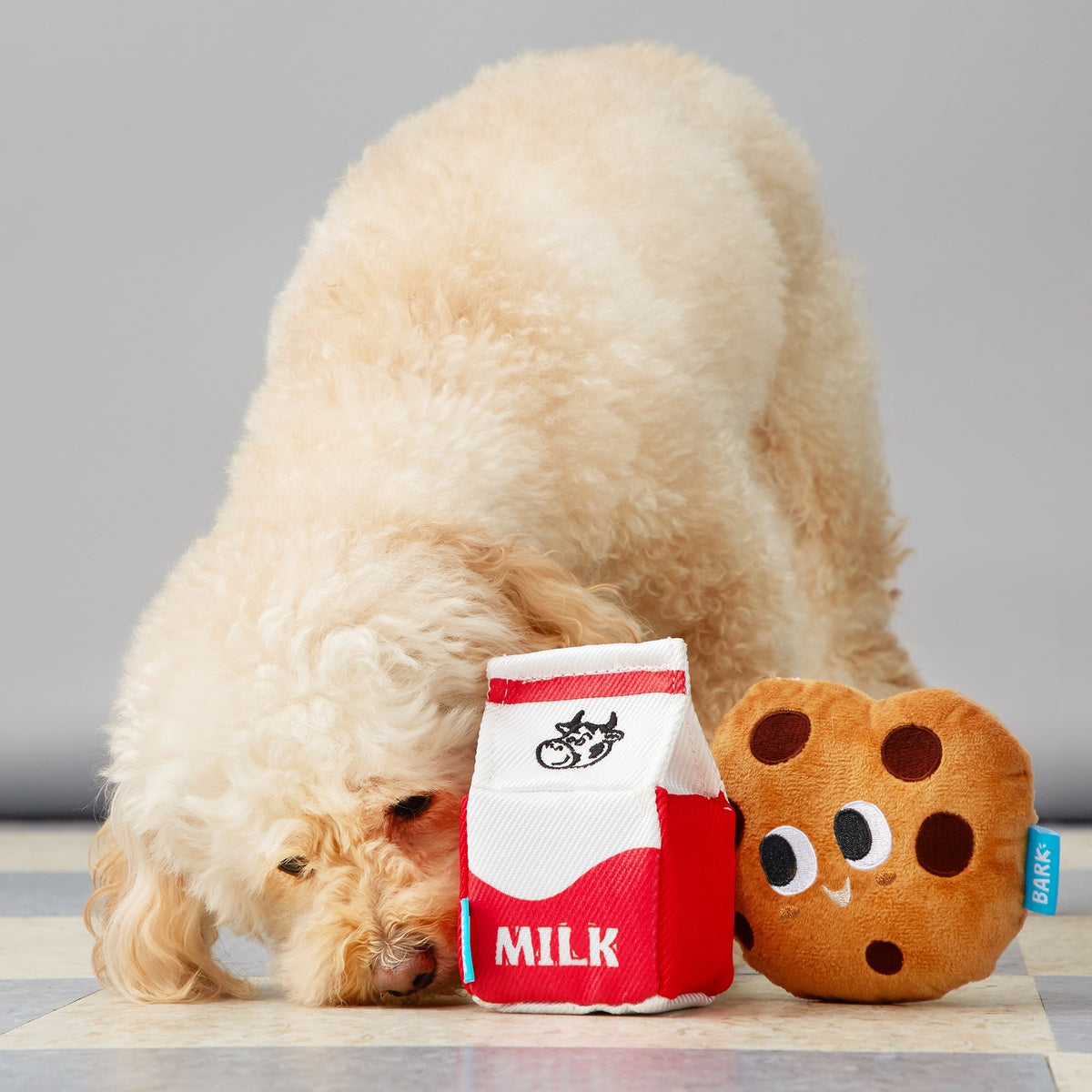 After School Snack Pack Plush Multi-Part Dog Toy