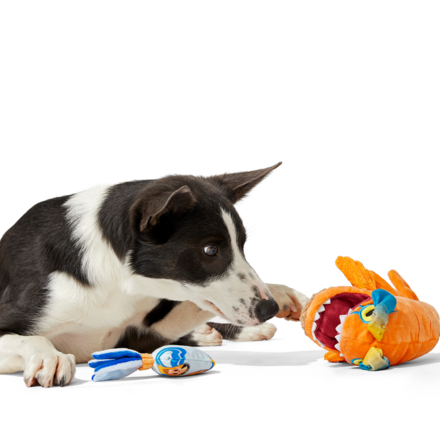 Star Wars™ Creature Club