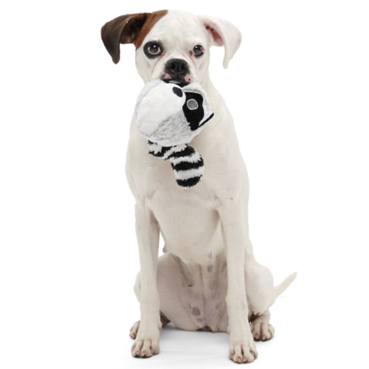 Thrash Panda Durable Super Chewer 2-in-1 Rip and Reveal Dog Toy