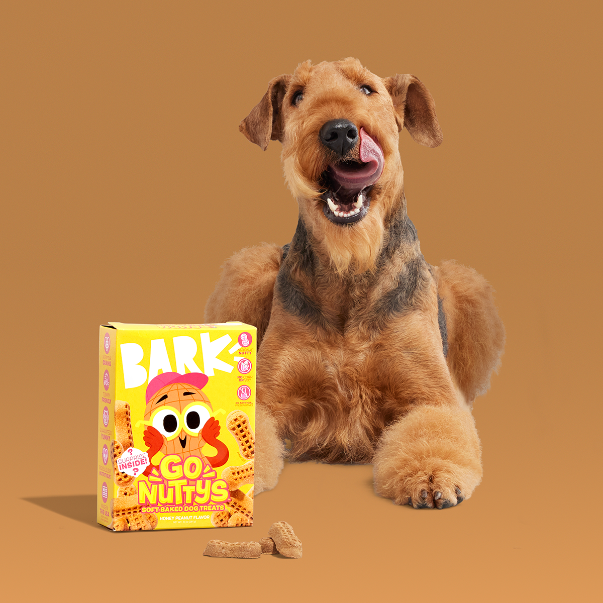 Go Nutty's™ Soft baked Dog Treats - Honey Peanut Flavor
