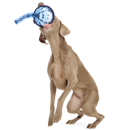 Statler and Waldorf as "Marley & Gnarley" Durable Super Chewer Tug Dog Toy