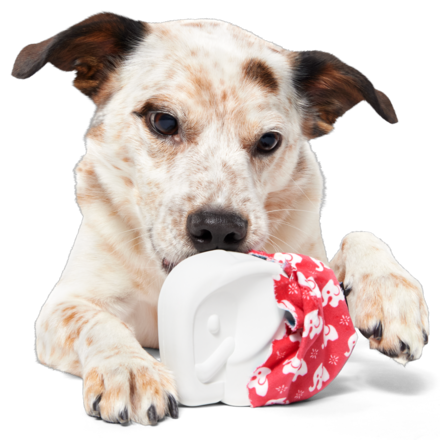 White Smellephant Durable Super Chewer 2-in-1 Rip and Reveal Dog Toy