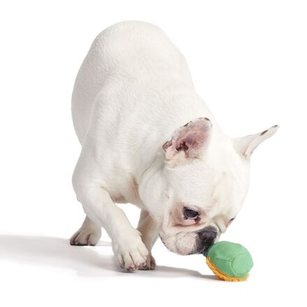 Lucky Larry Leprechaun Super Chewer Durable 2-in-1 Dog Toy