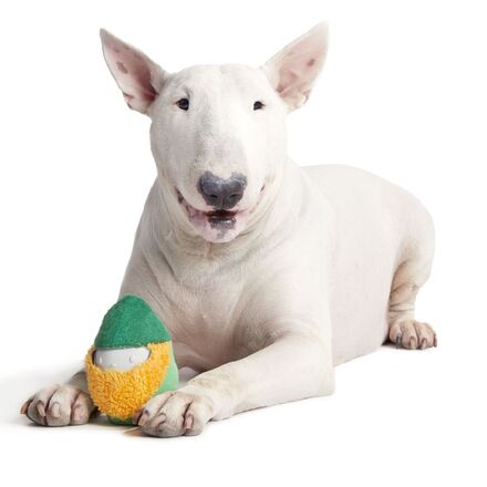 Lucky Larry Leprechaun Super Chewer Durable 2-in-1 Dog Toy