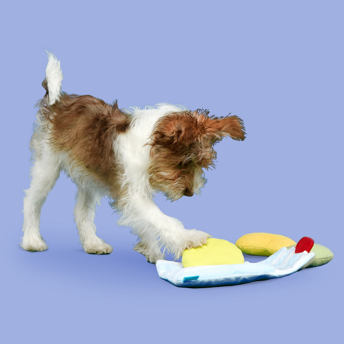 Dr. Brindlecoat's Belly Beans Plush Multi-Part + Enrichment Dog Toy
