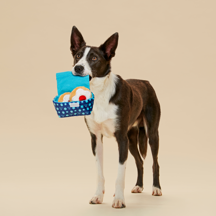 Woofganiyot Hanukkah Multi-Part Plush Toy