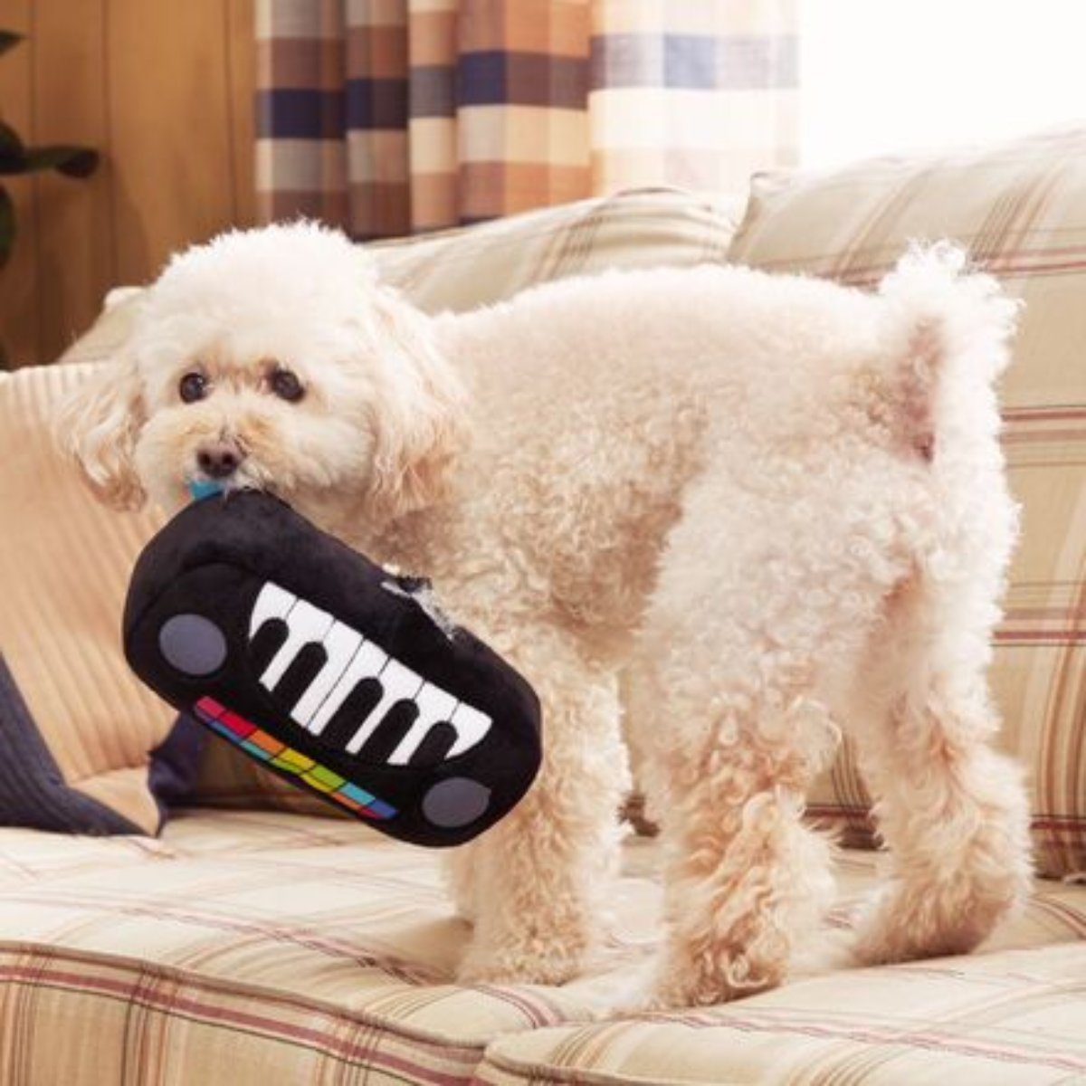 Squeaky Wonder Keyboard