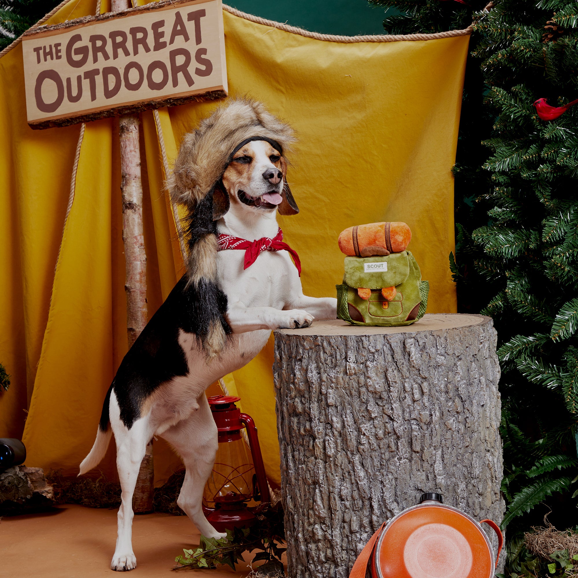 Rowdy Ruckus Rucksack