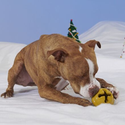 Reindeer Games™ Rudolph®