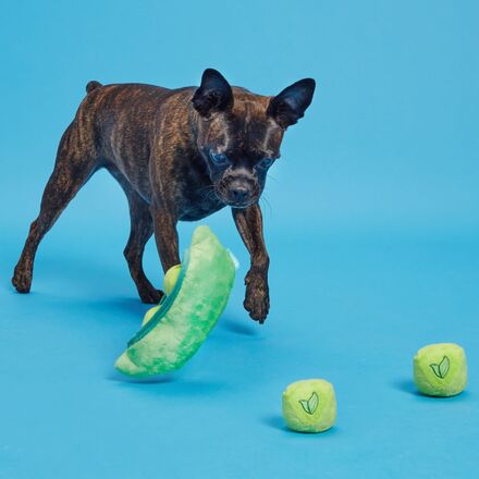 Peas in the Pod Plush Multi-Part + Enrichment + Fetch Dog Toy